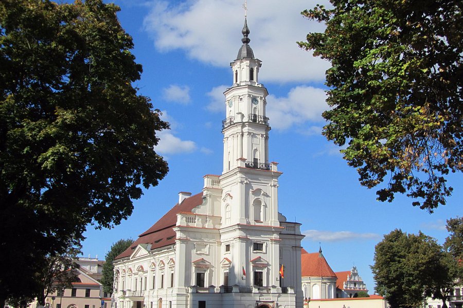 Kaunas City Museum image