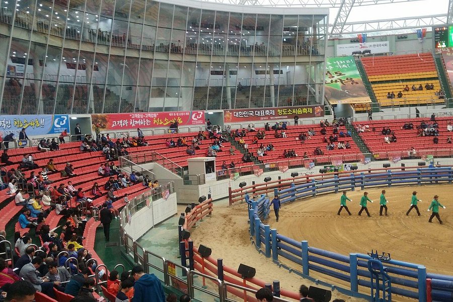 Cheongdo Bullfighting Stadium image