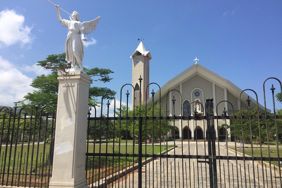 Immaculate Conception Cathedral image