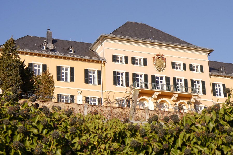 Schloss Johannisberg image