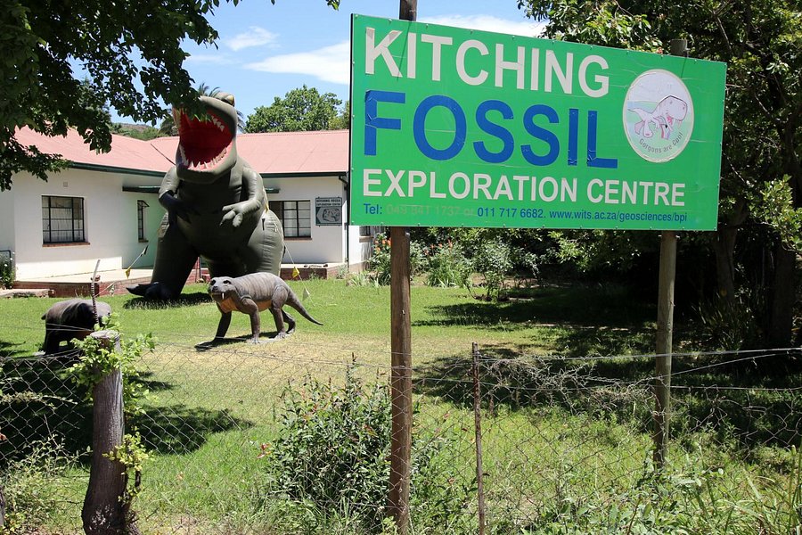 Kitching Fossil Exploration Centre image