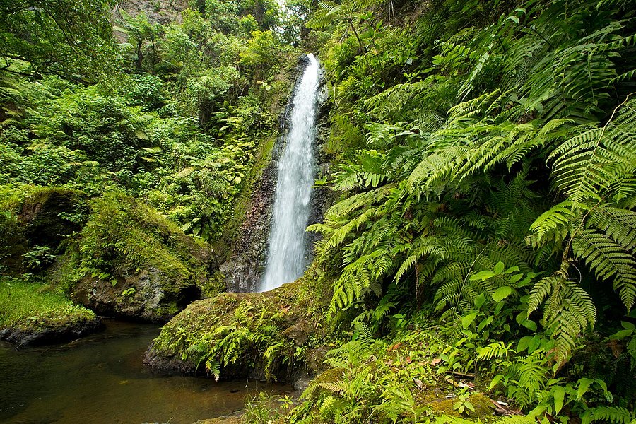 Lenuanatuaiu Waterfall image