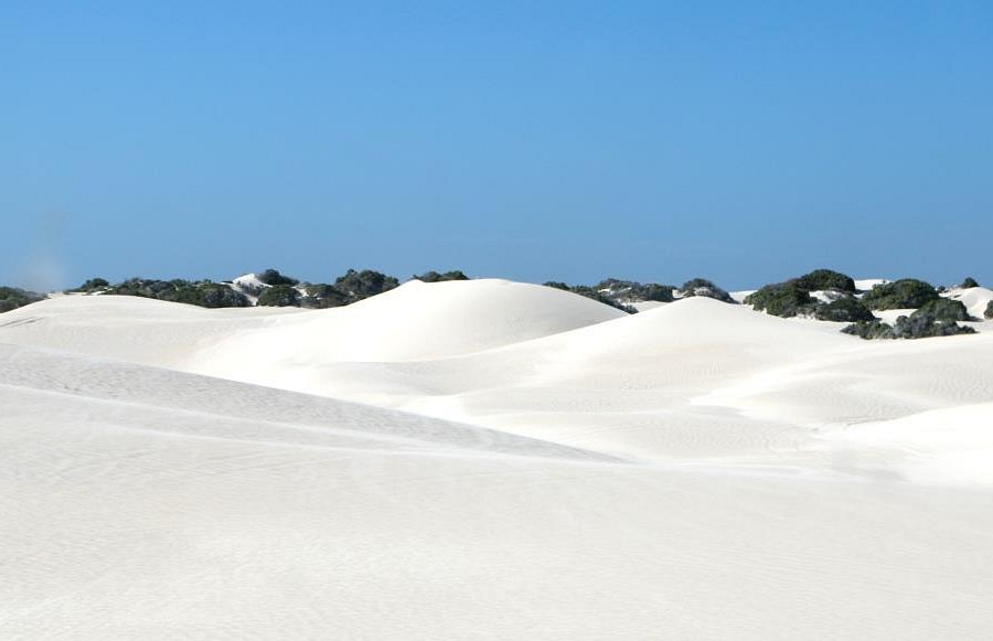 Lancelin Sand Dunes image
