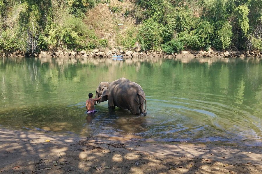 Saiyok Elephant Park image