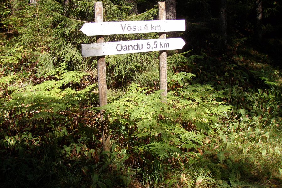 Oandu-Vosu hiking trail image