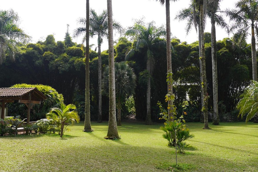 Jardin Botanico Francisco Javier Clavijero image