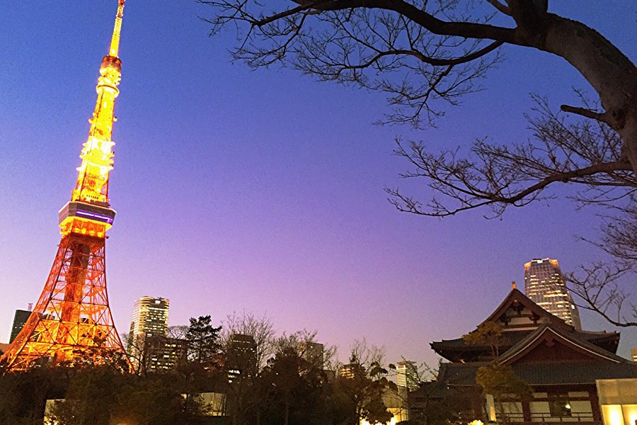 Tokyo Tower image