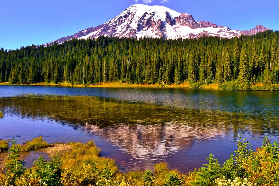Mount Rainier image