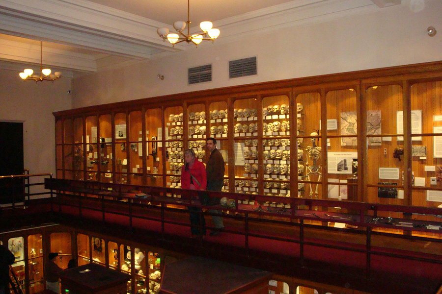 Mutter Museum image