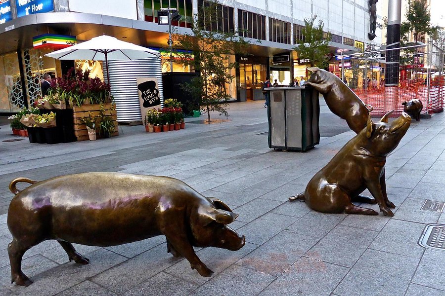 The Rundle Mall Pigs image