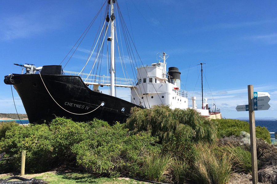 Albany's Historic Whaling Station image