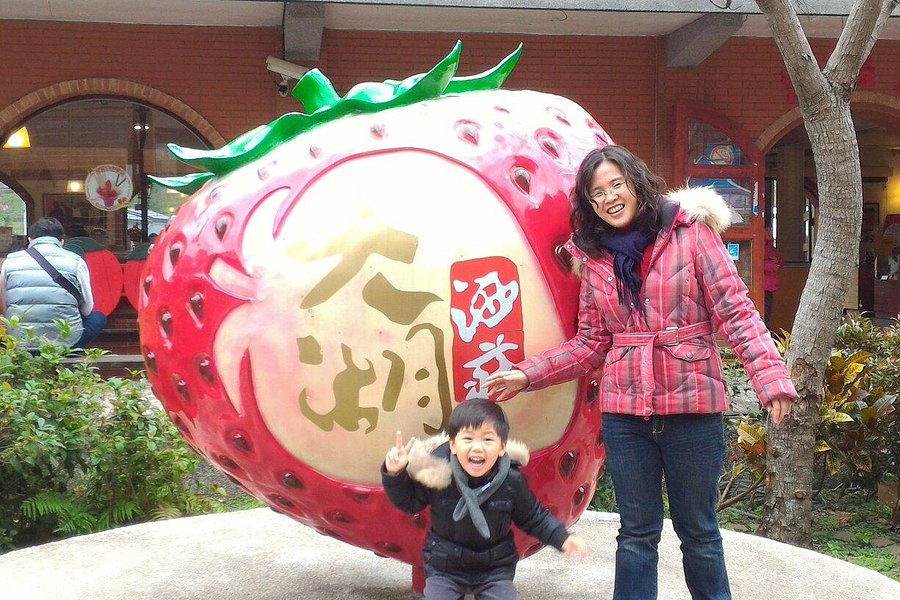 Dahu Strawberry Cultural Center image