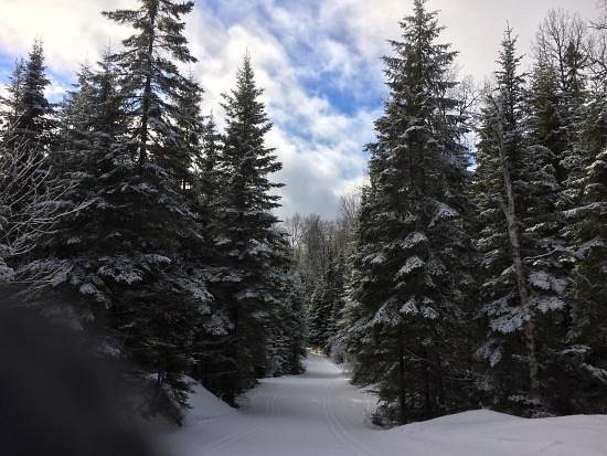 Leaf Lake Ski Trail image
