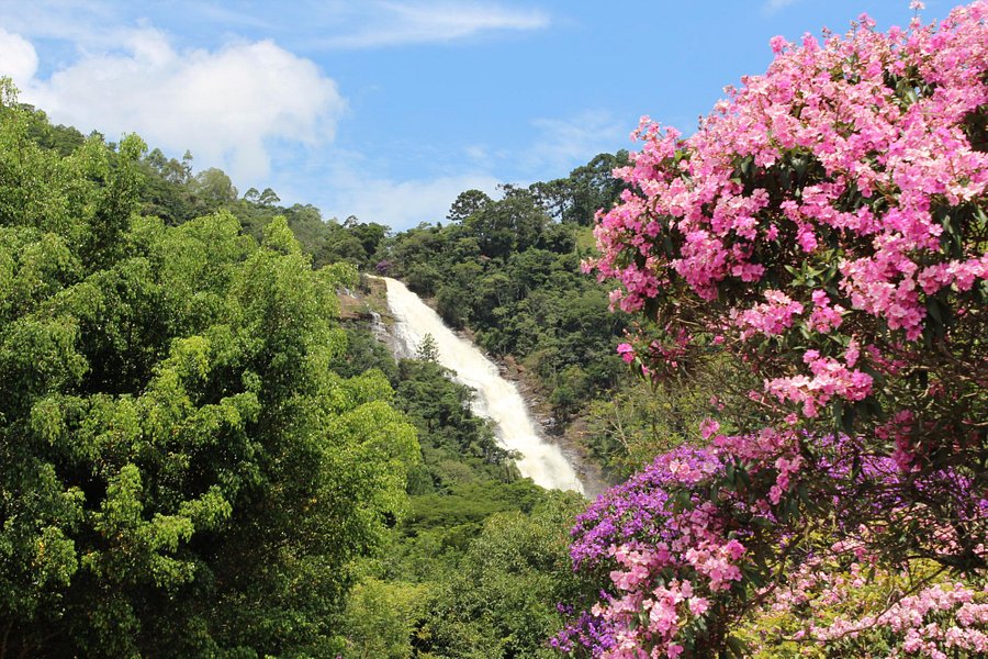Cachoeira dos Pretos image
