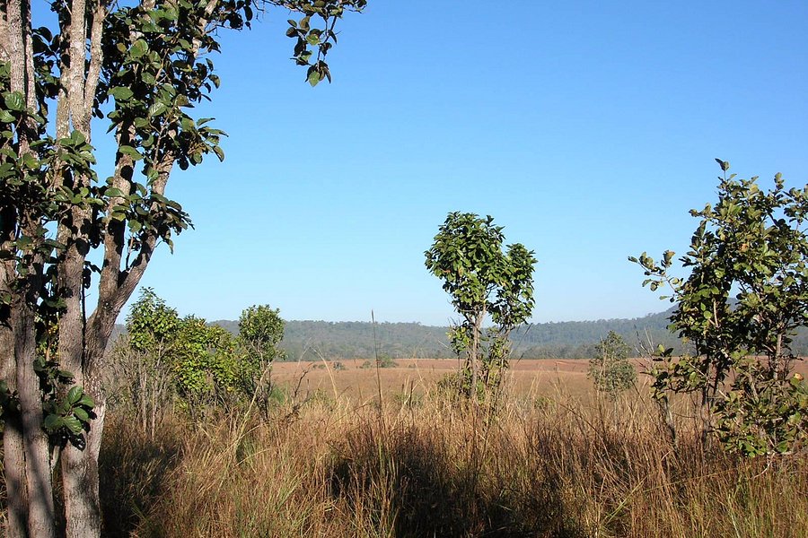 Thung Salaeng Luang National Park image