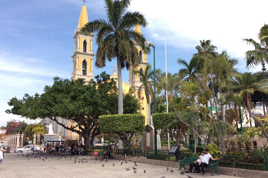 Catedral Basilica de Mazatlan image