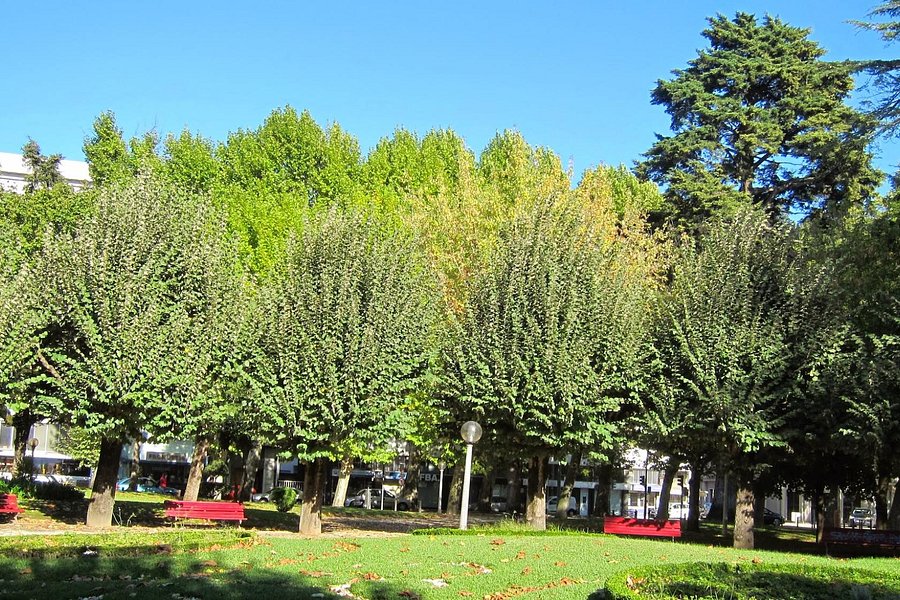 Parque Verde do Mondego image