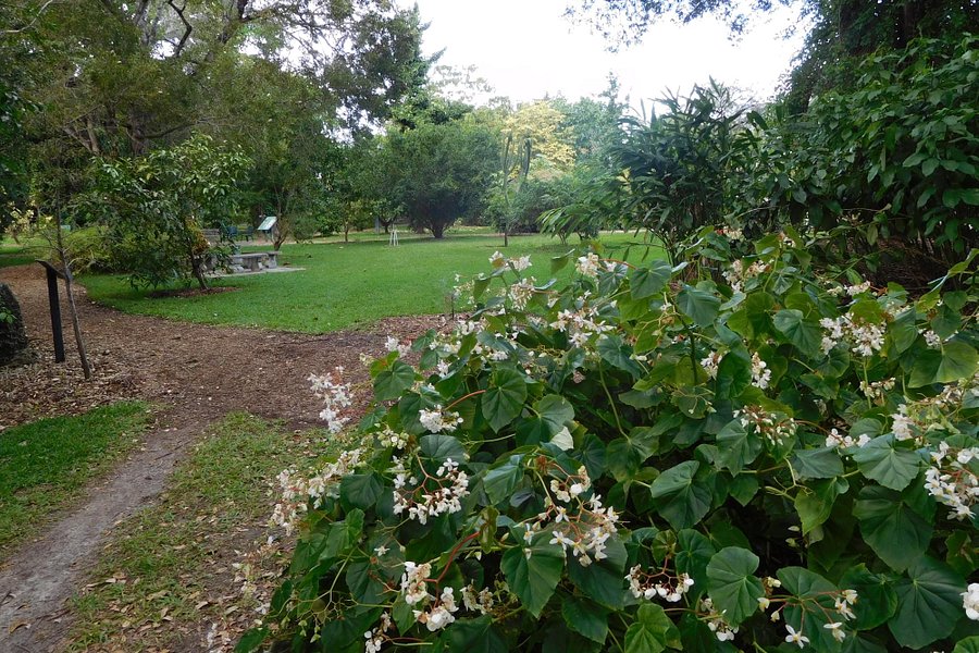 John G. Gifford Arboretum image
