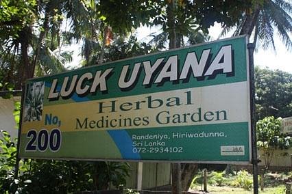 Luck Uyana Herbal Medecines Garden image