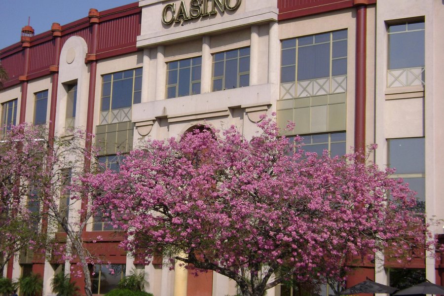 Casinos del Litoral image