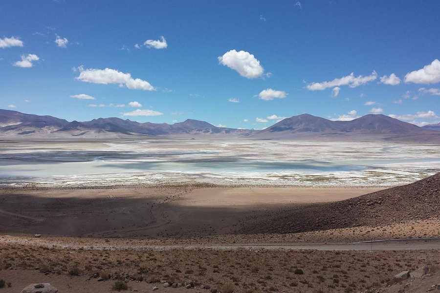 Parque Nacional Salar del Huasco image