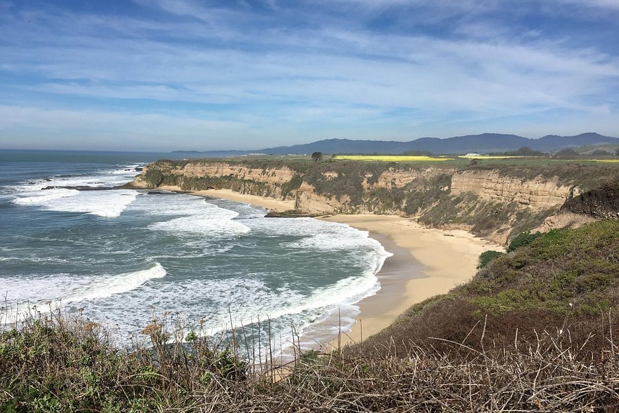 Cowell Ranch State Beach image