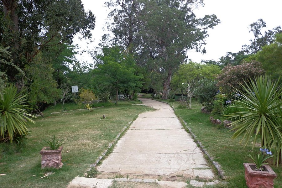 Parque Municipal La Cascada image