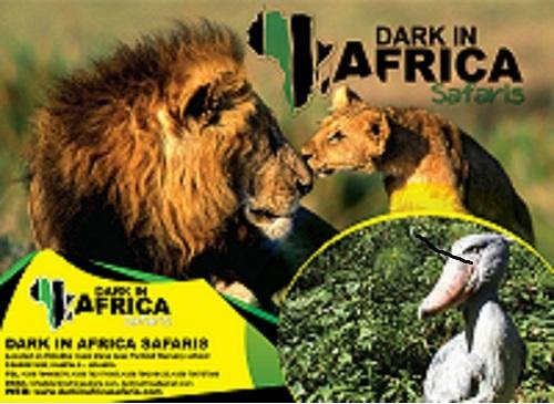 Dark in Africa Safaris image