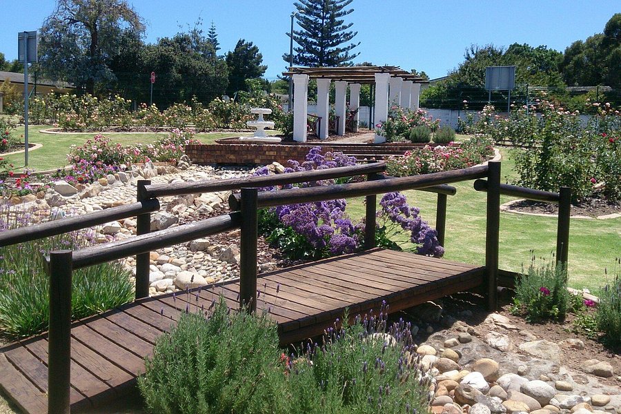 Durbanville Rose Garden image