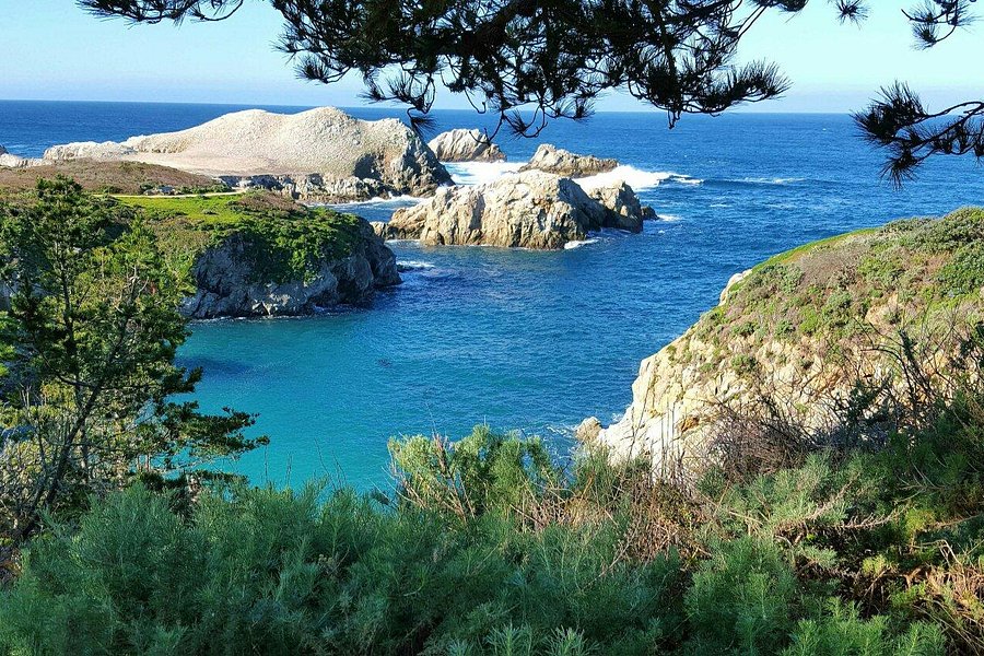 Point Lobos image