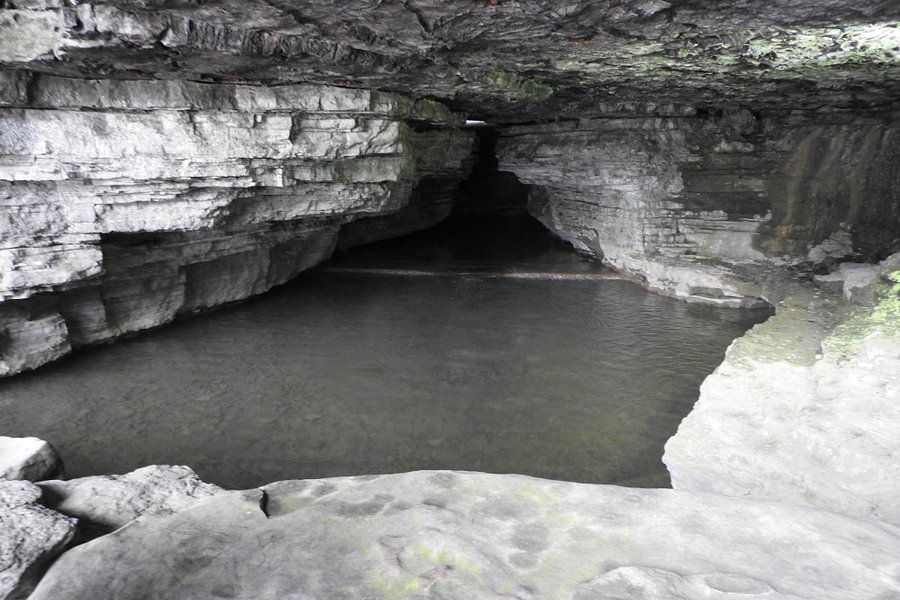 Cave Spring Hollow image