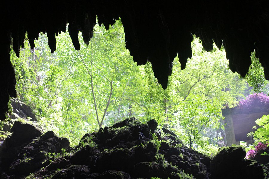 Parque Nacional de las Cavernas del Río Camuy image