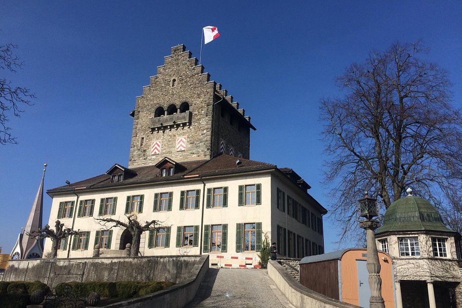 Schloss Uster image