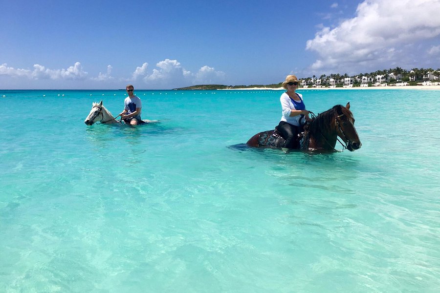 Seaside Stables Anguilla image
