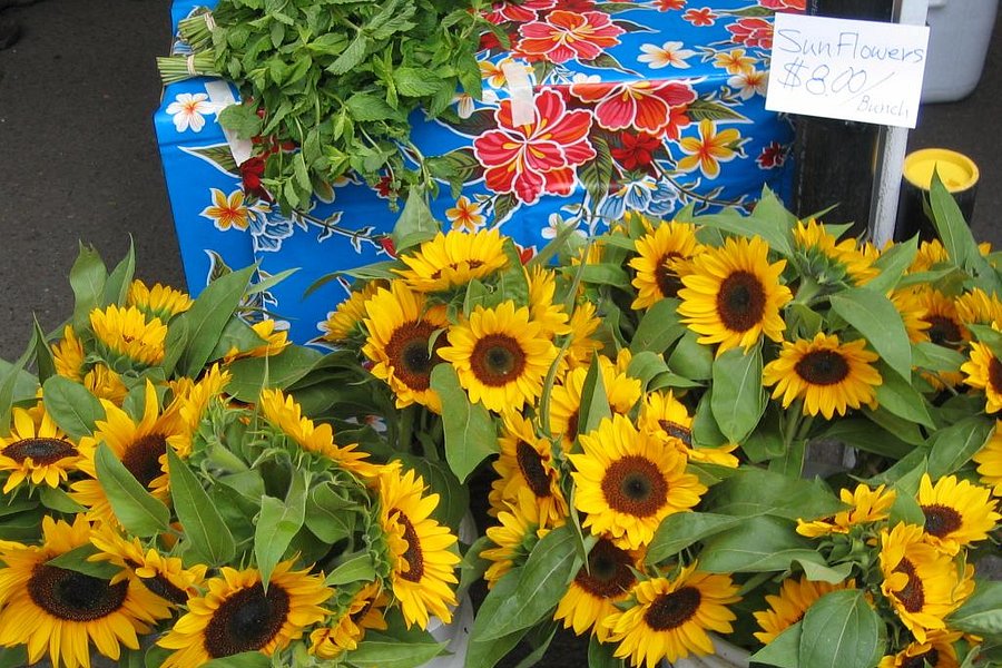 Milwaukie Farmers Market image