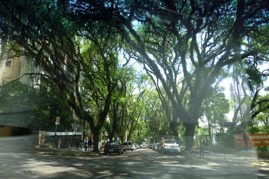 Rua Goncalo de Carvalho image