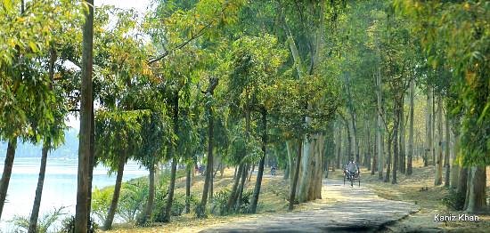 Ramsagar National Park image