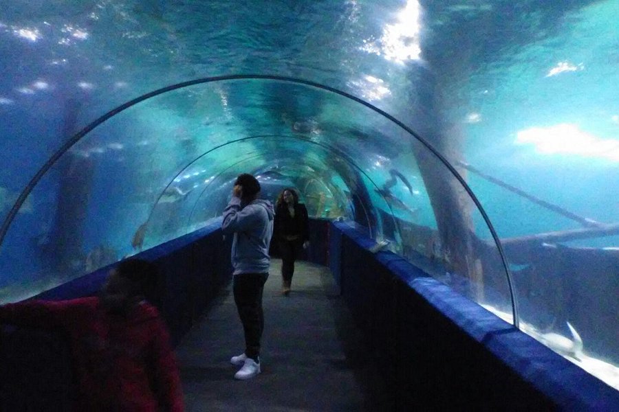 Greater Cleveland Aquarium image