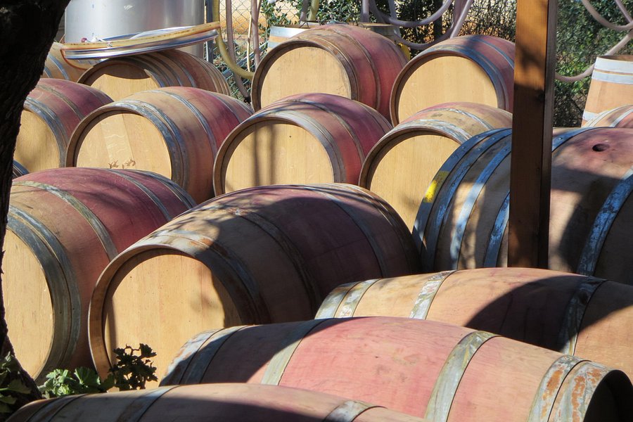 Israel Wine Journeys image