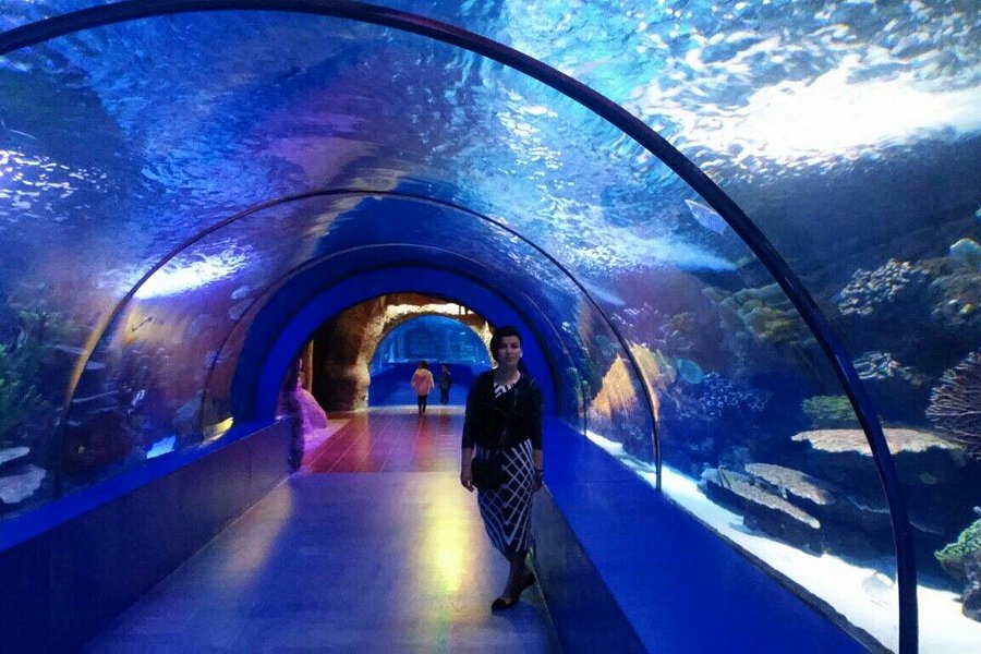 Antalya Aquarium image