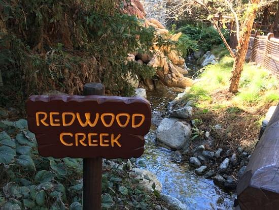 Redwood Creek Challenge Trail image