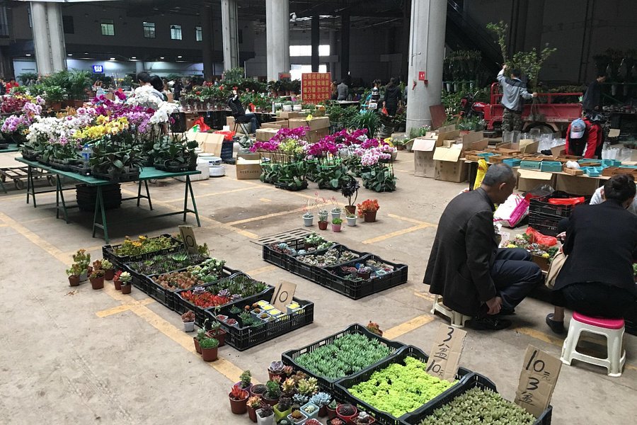Nandou Flowers Market image