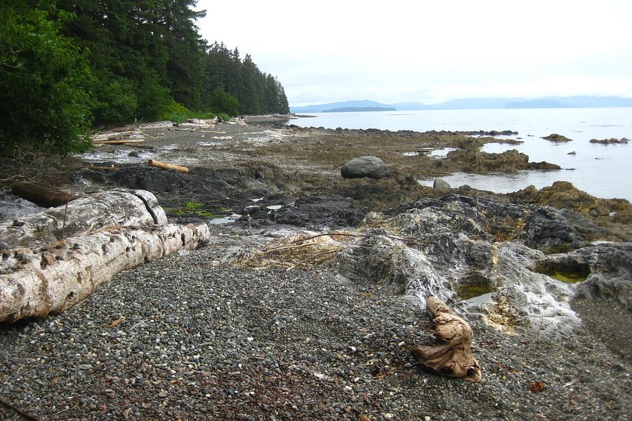 Memorial Beach Picnic Site image