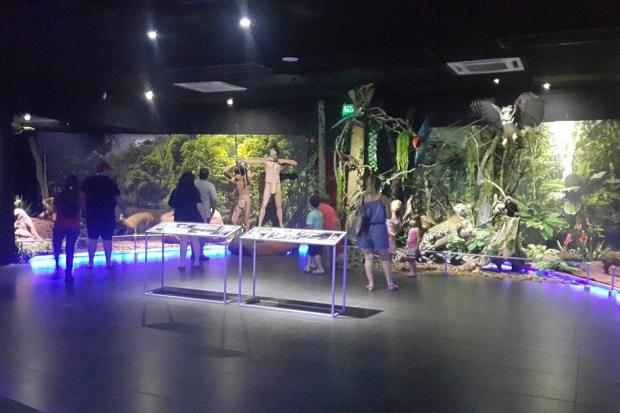 Museo de la Tierra Guarani image