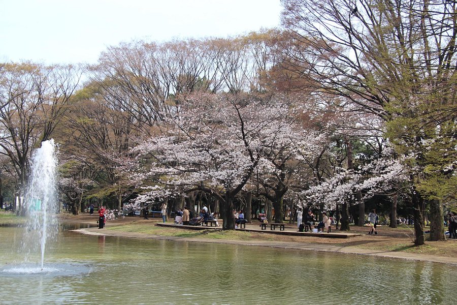 Yoyogi Park image