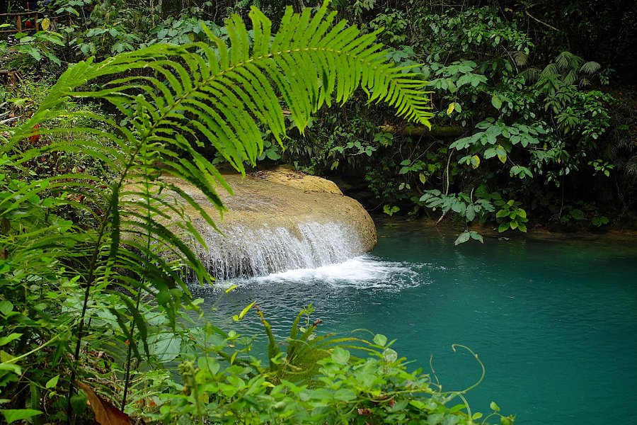 El Nicho Waterfalls image