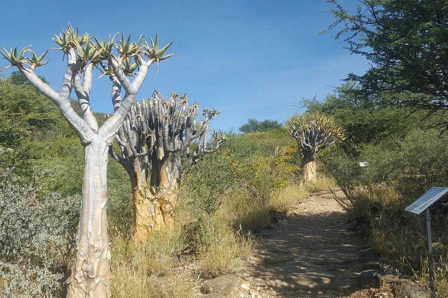 National Botanic Garden of Namibia image