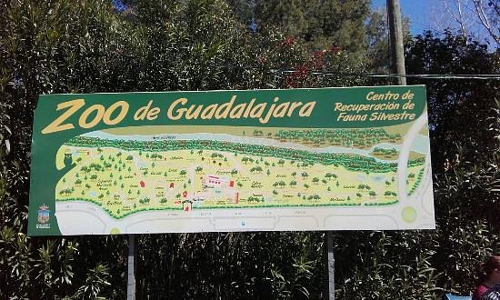 Zoo Guadalajara image