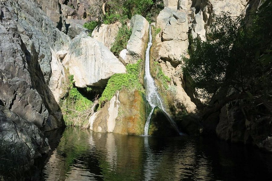 Darwin Falls image
