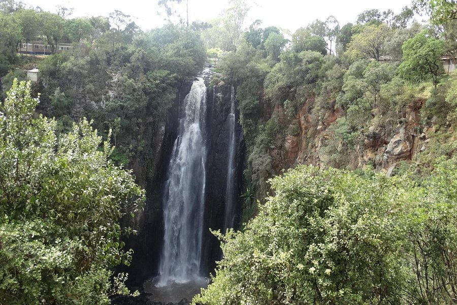 Thomson's Falls image